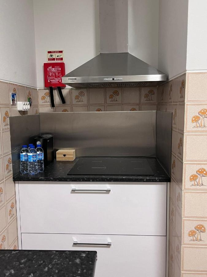 Casas Dona Emilia Apartment Виейра де Лейрия Екстериор снимка